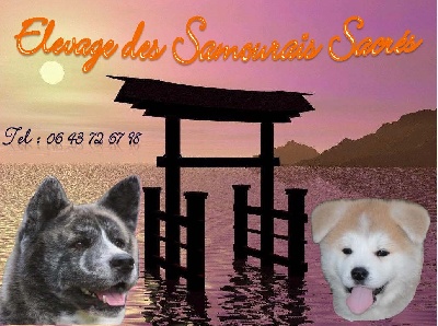 Des Samouraïs Sacrés